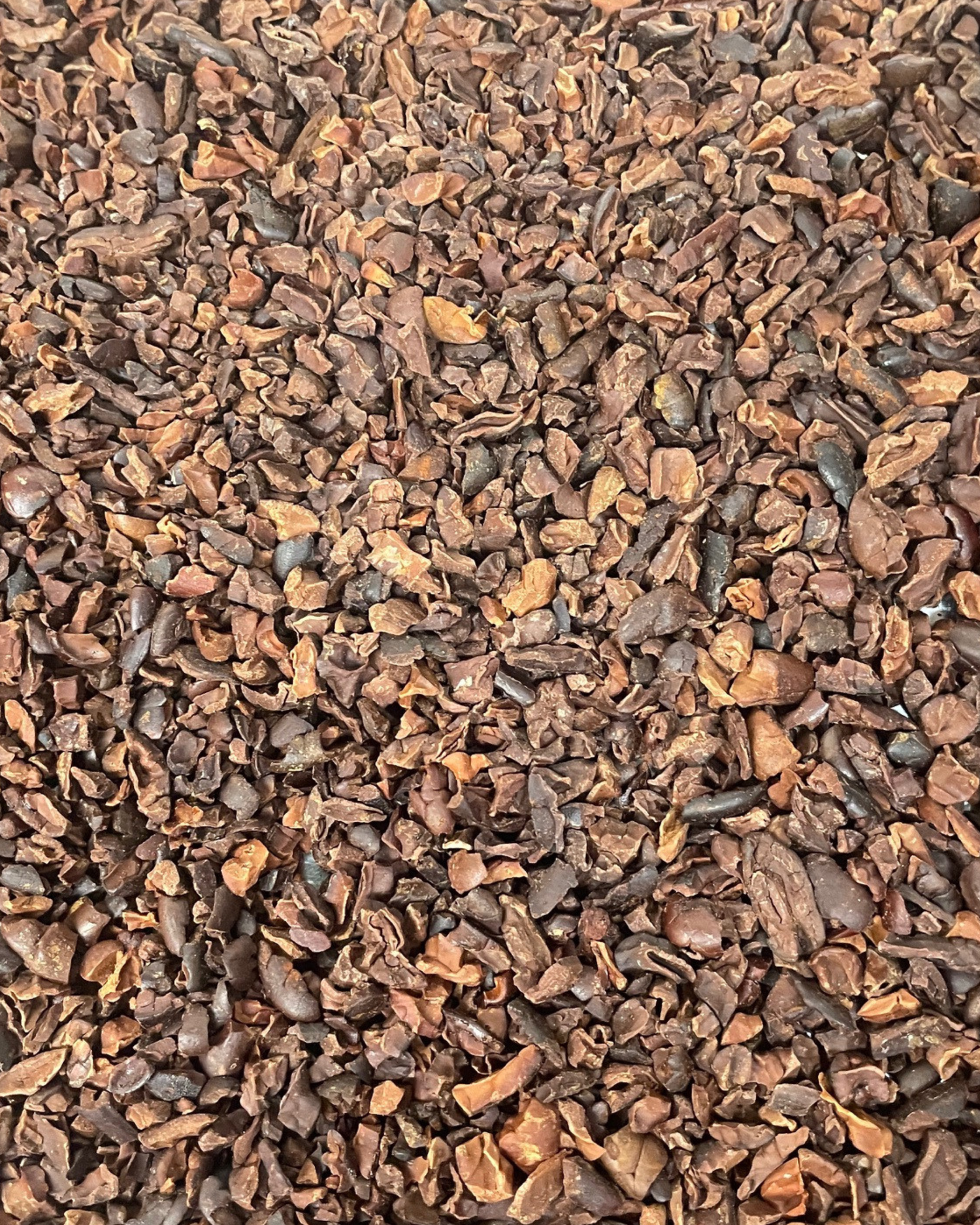 cacao nibs