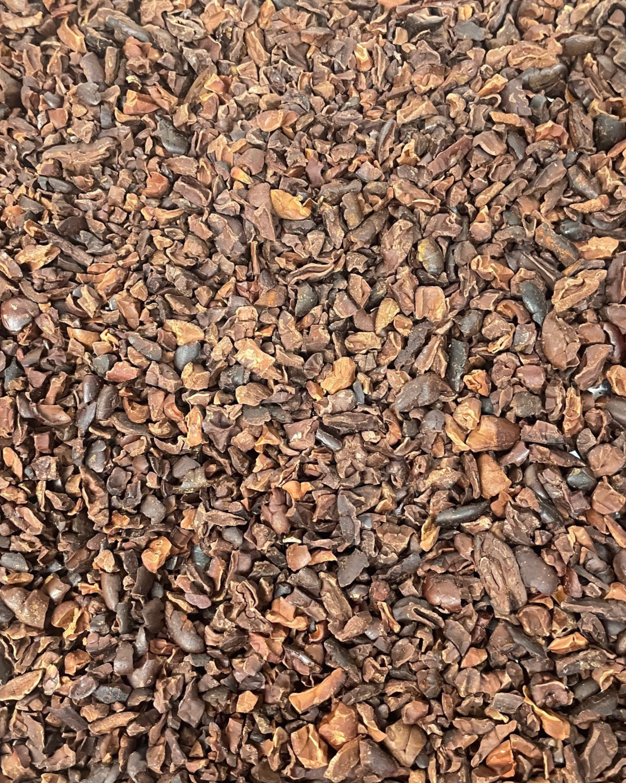 cacao nibs